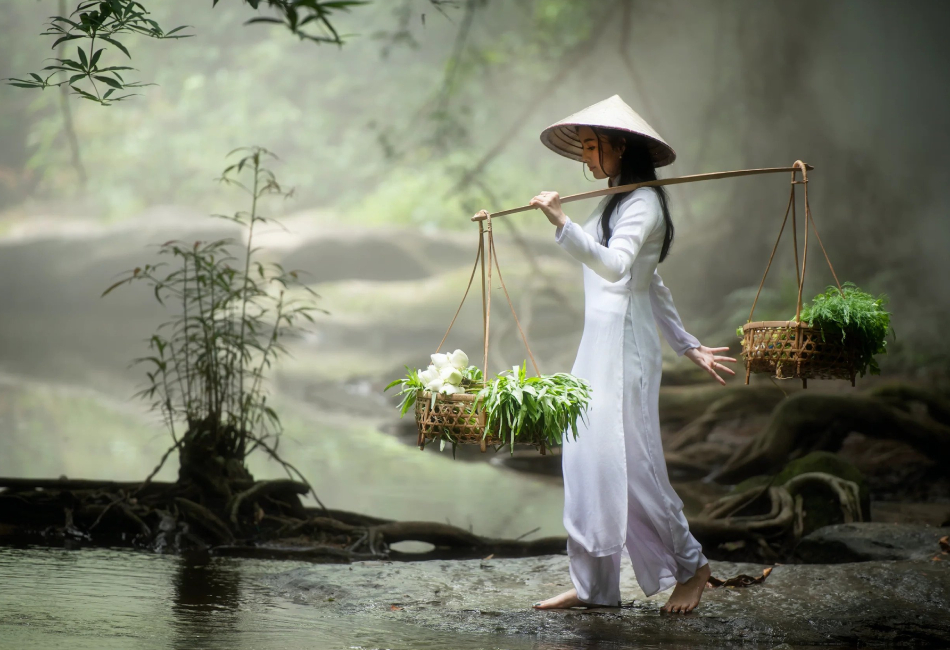 voyage pour le vietnam
